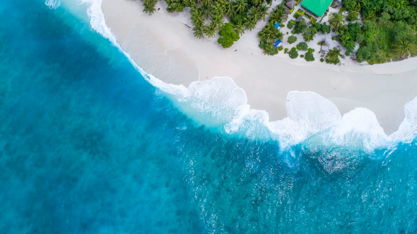 Türkisfarbenes Meer mit Palmenstrand — Traumreise mit Coconut Reisen